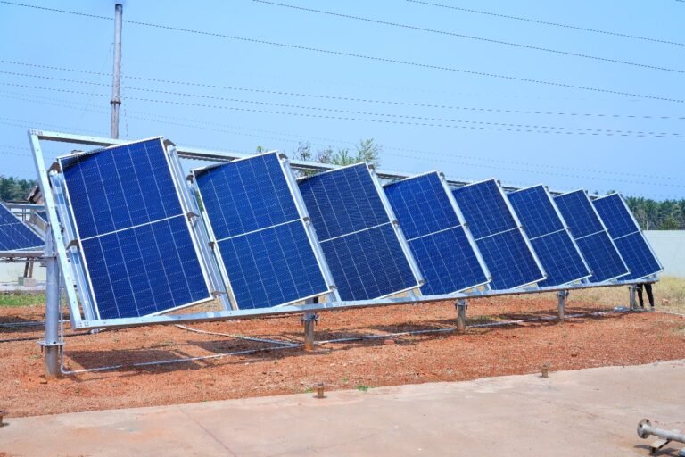 Solar Sovereignty: Dr. S.K. Radhakrishnan’s Mastery of Renewable Energy