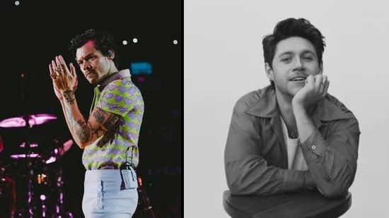 Harry Styles’ Attendance at Niall Horan’s Concert Made Fans Go Wild: ‘We Need 1D Back’