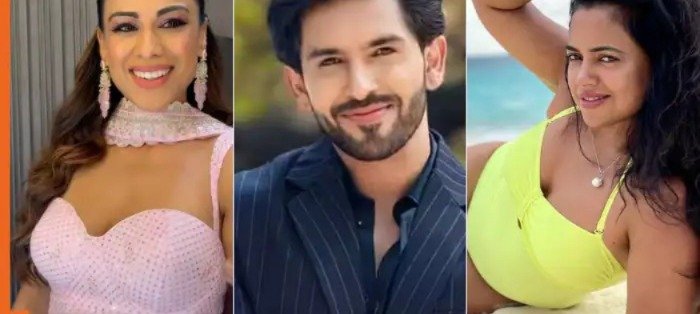 Bigg Boss 18 confirmed contestants: Nia Sharma, Dheeraj Dhoopar, Shehzada Dhami, Sameera Reddy, other popular names set to enter Salman Khan’s show– check full list