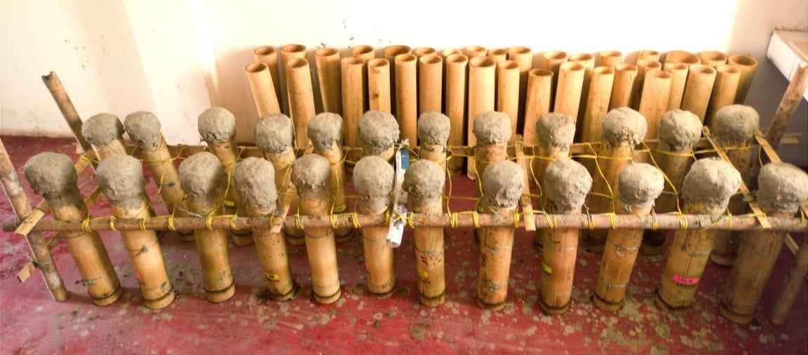 Manipur International University Achieves Global First, Publishes Genetic Blueprint of Fermented Fish ‘Utong Ngari’